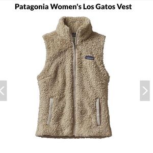 Patagonia Vest
